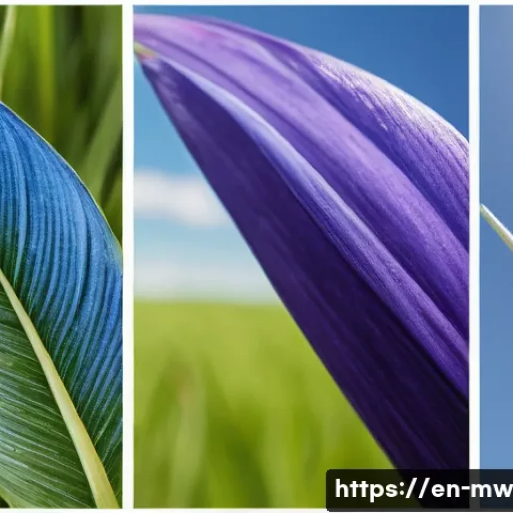 고급 와인 양조장 체험의 모든 것 - Here are three detailed image prompts: