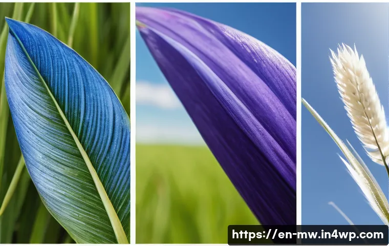 고급 와인 양조장 체험의 모든 것 - Here are three detailed image prompts: